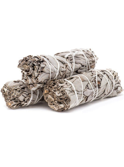 Small White Sage Bundle- not restocking